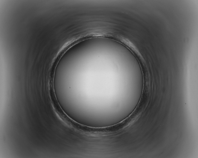 X0000085270530200703090917