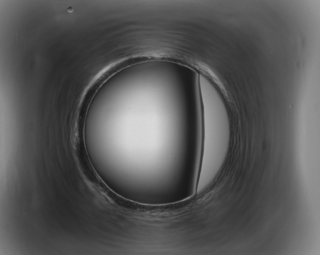 X0000085270532200703090917