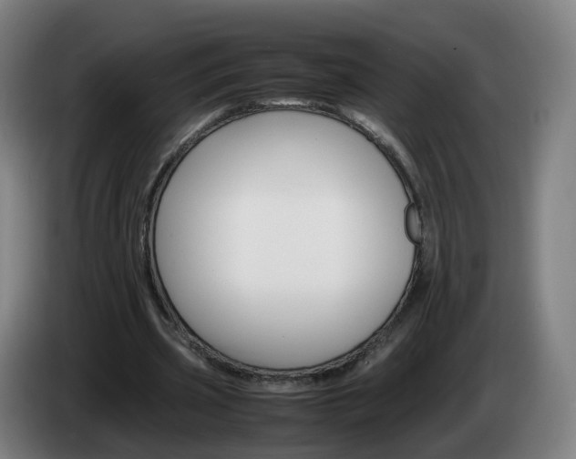 X0000085270533200703090917