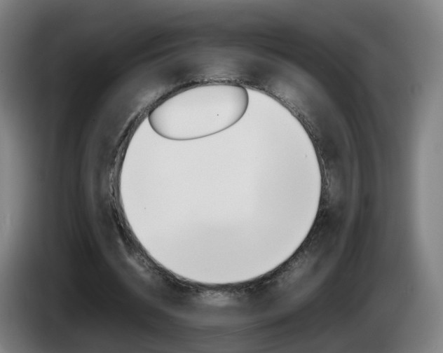 X0000085270534200703090917