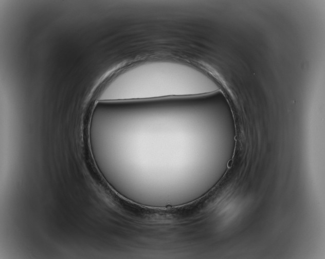 X0000085270535200703090917