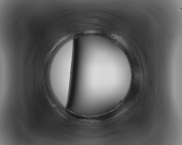 X0000085270539200703090917