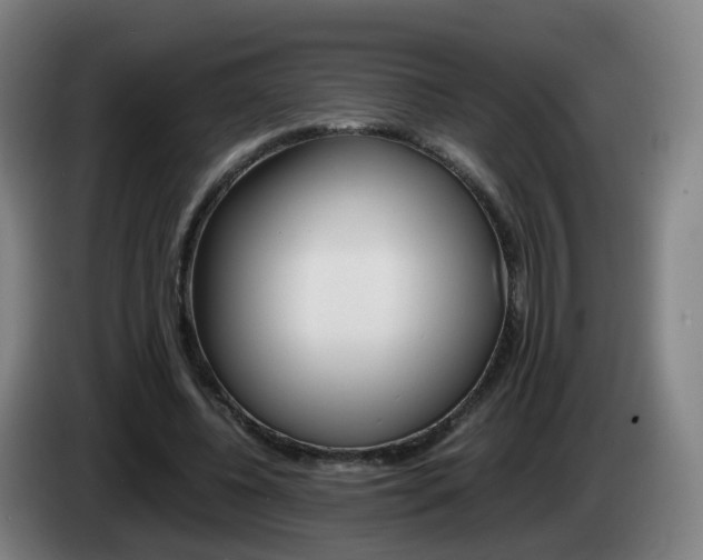 X0000085270540200703090917