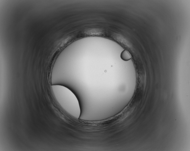 X0000085270541200703090917