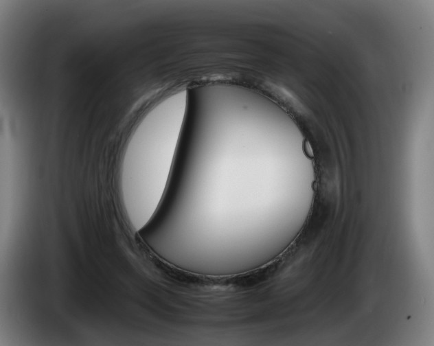 X0000085270543200703090917