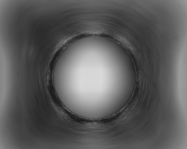 X0000085270544200703090918
