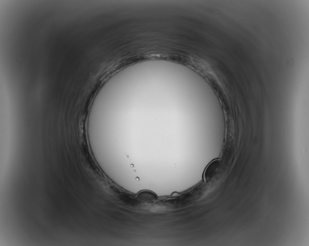 X0000085270545200703090918