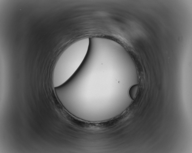 X0000085270550200703090918