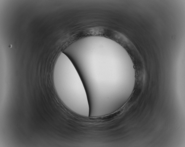 X0000085270553200703090918