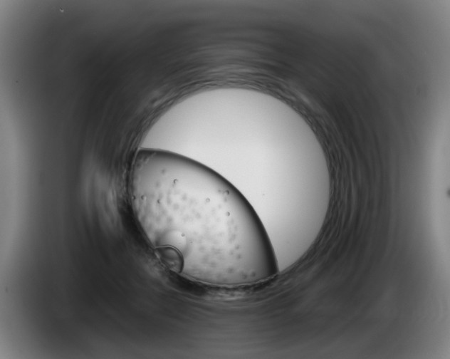 X0000085270554200703090918