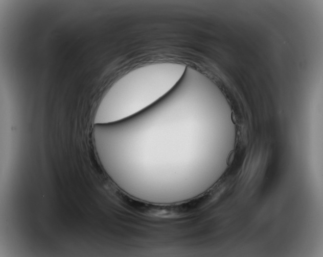 X0000085270557200703090918