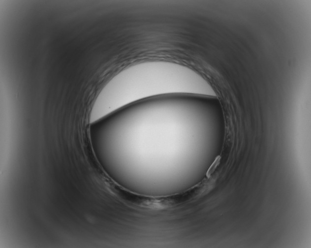 X0000085270558200703090918