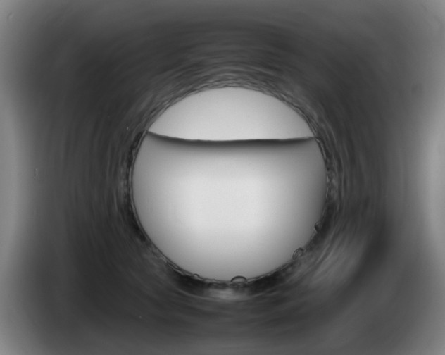 X0000085270561200703090918