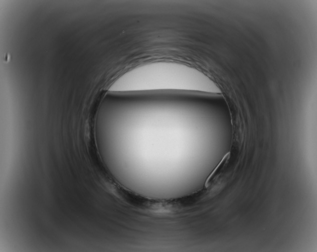 X0000085270562200703090918