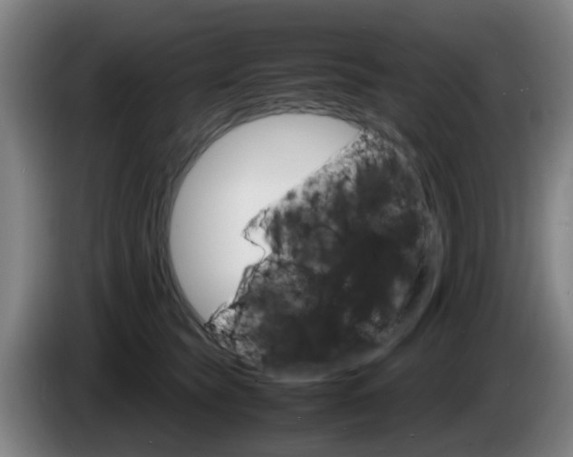 X0000085270565200703090918