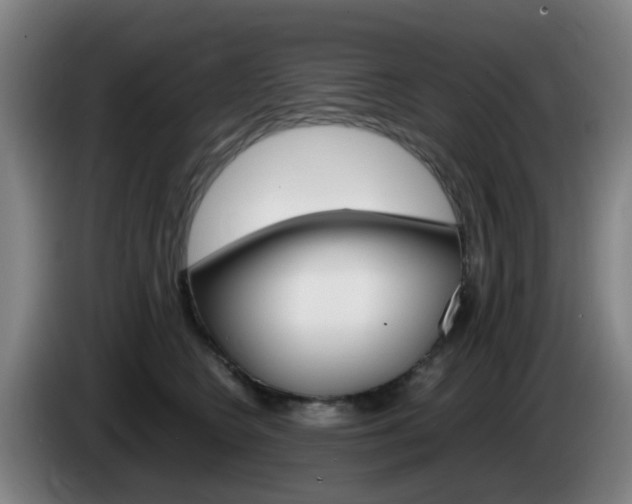 X0000085270566200703090918