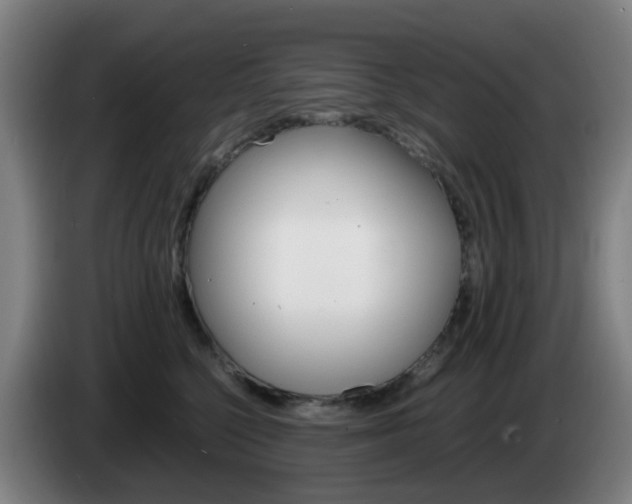 X0000085270568200703090918