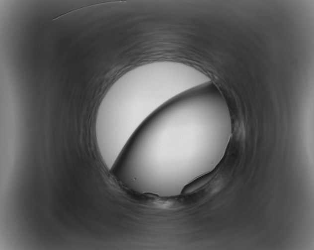 X0000085270570200703090918