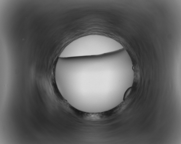 X0000085270573200703090918