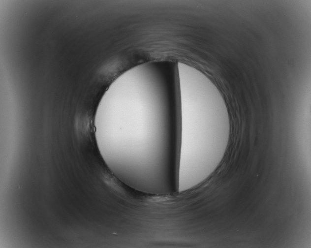 X0000085270574200703090918