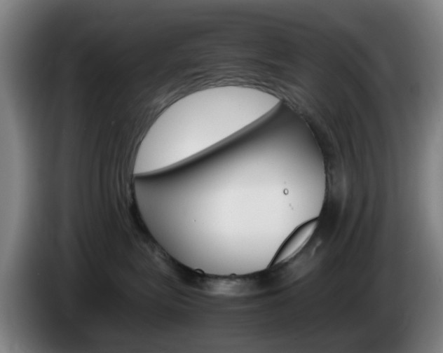 X0000085270575200703090918