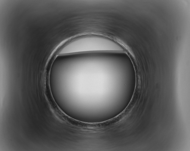 X0000085270580200703090917