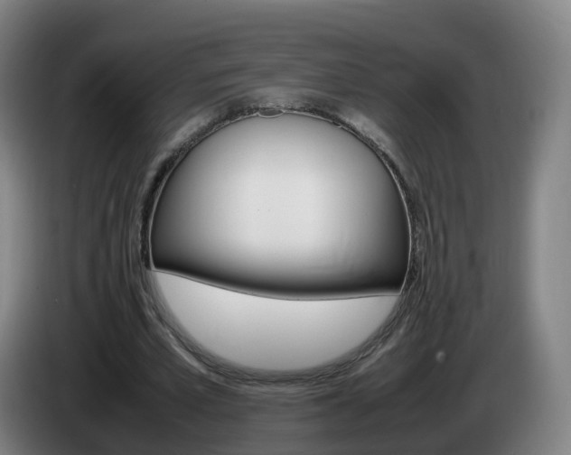X0000085270581200703090917