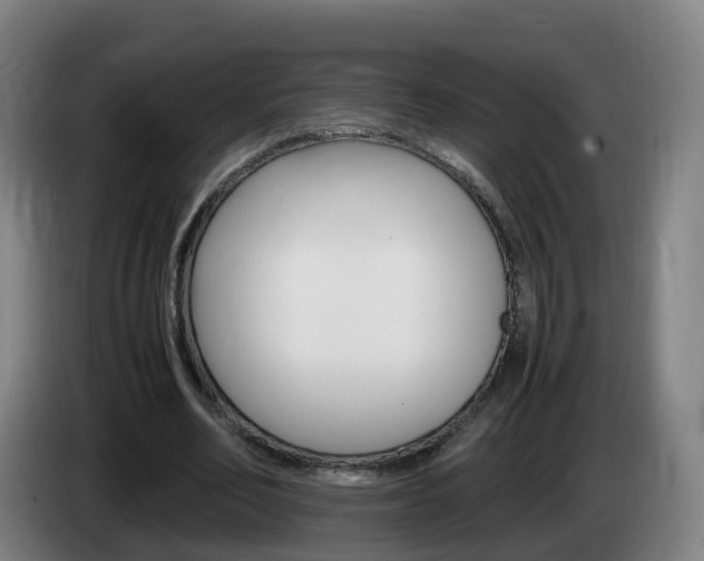 X0000085270582200703090917