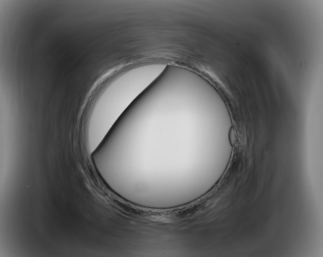 X0000085270583200703090917