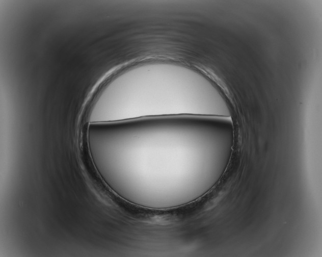 X0000085270584200703090917