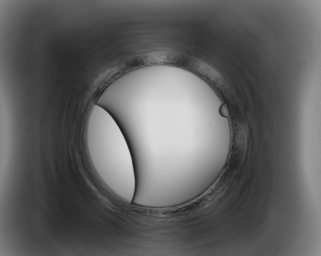 X0000085270590200703090917