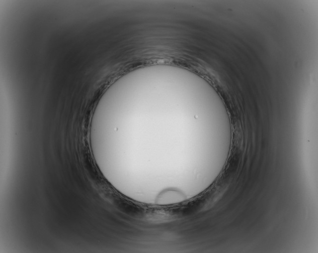 X0000085270594200703090917