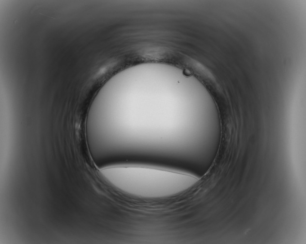 X0000085270596200703090917