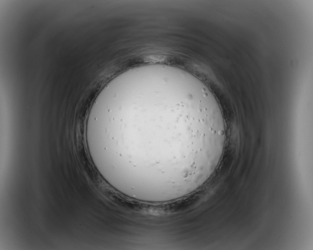 X0000085270598200703090917