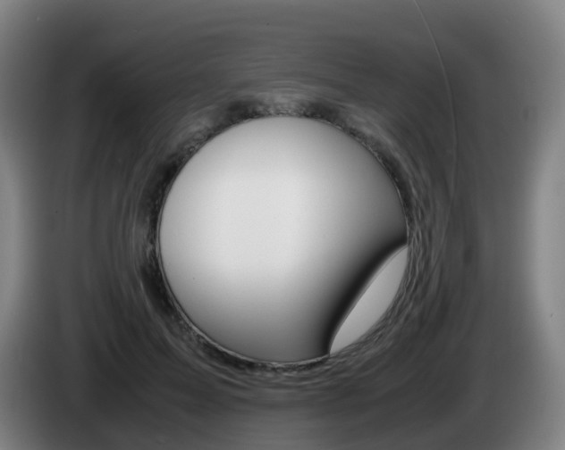 X0000085270599200703090917