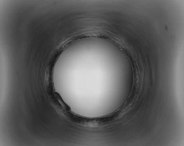 X0000085270600200703090917