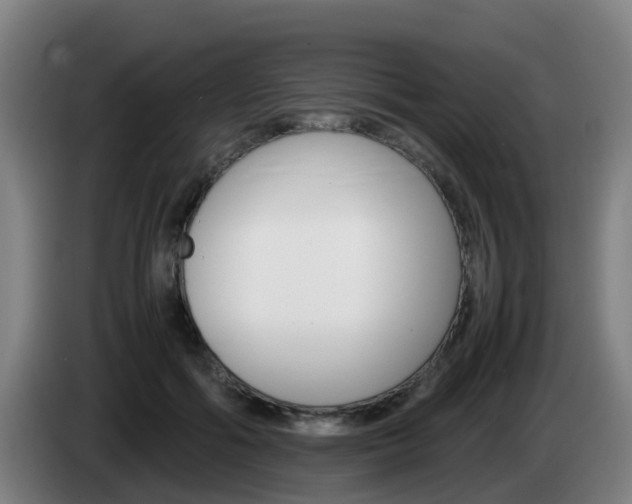 X0000085270602200703090917