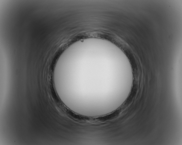 X0000085270603200703090917