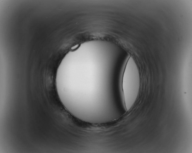 X0000085270608200703090917