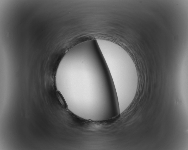 X0000085270613200703090917