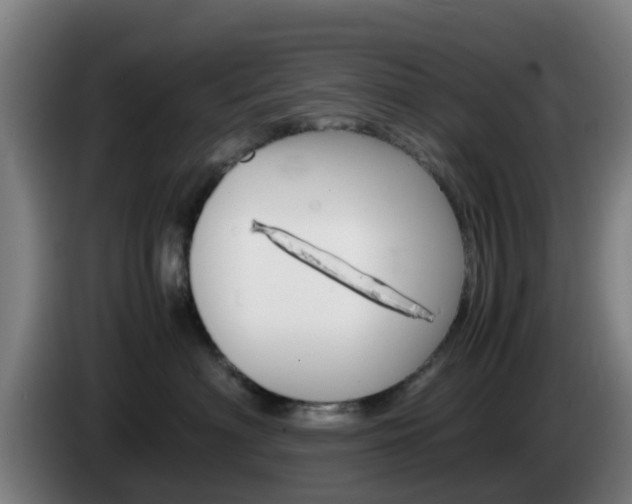 X0000085270622200703090917