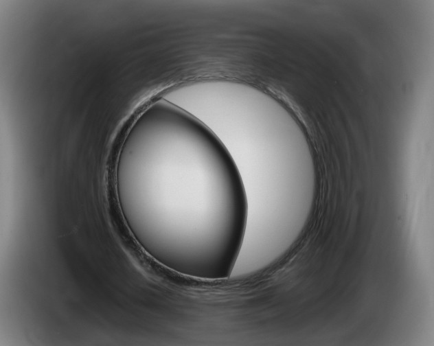 X0000085270626200703090916
