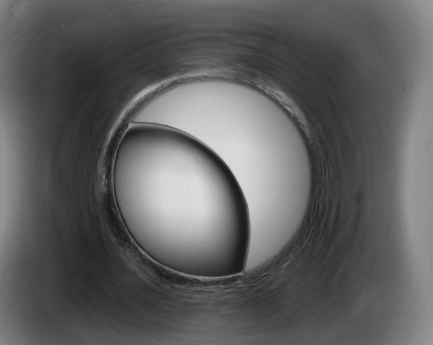 X0000085270628200703090916