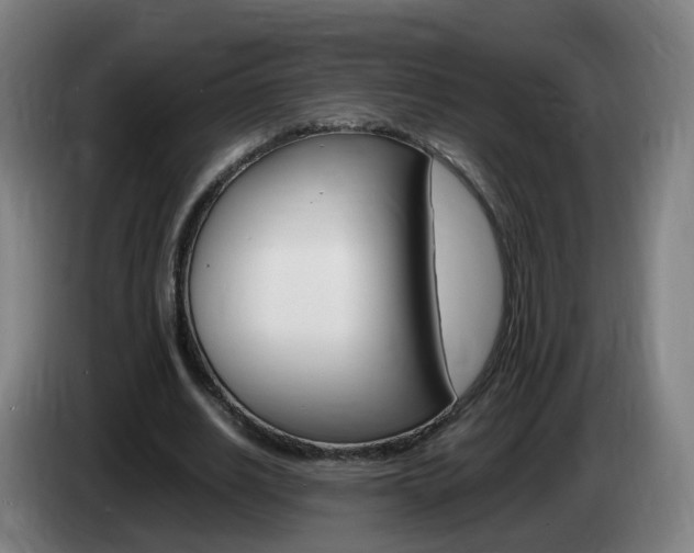 X0000085270630200703090916