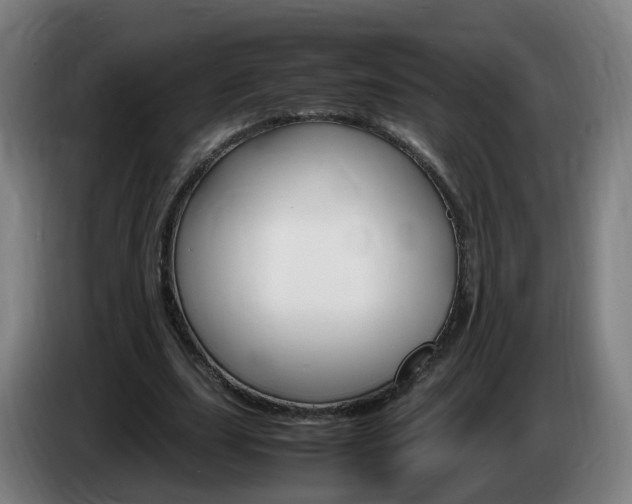 X0000085270631200703090916