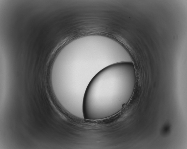 X0000085270634200703090916