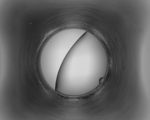 X0000085270636200703090916