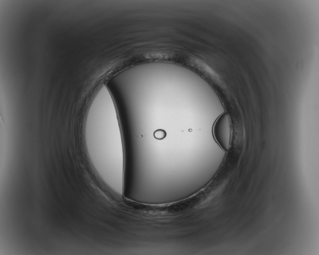 X0000085270637200703090916
