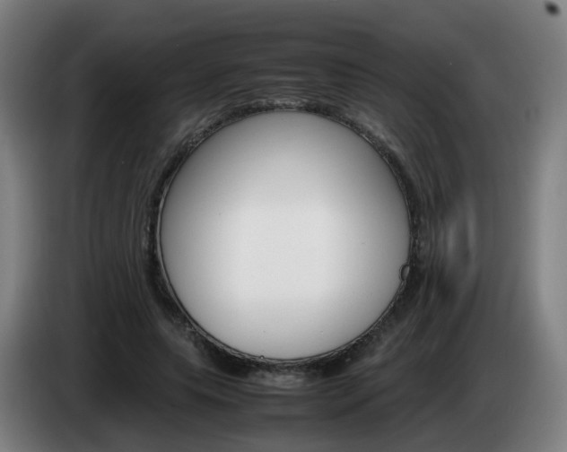 X0000085270639200703090916