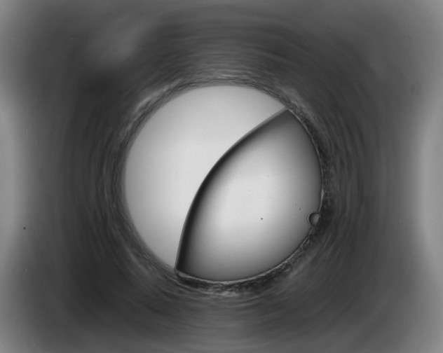 X0000085270640200703090916
